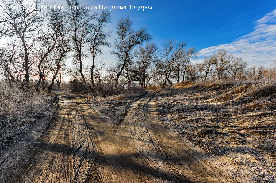 Dirt Road, Gravel, Road, Landscape, Nature, Scenery, Field