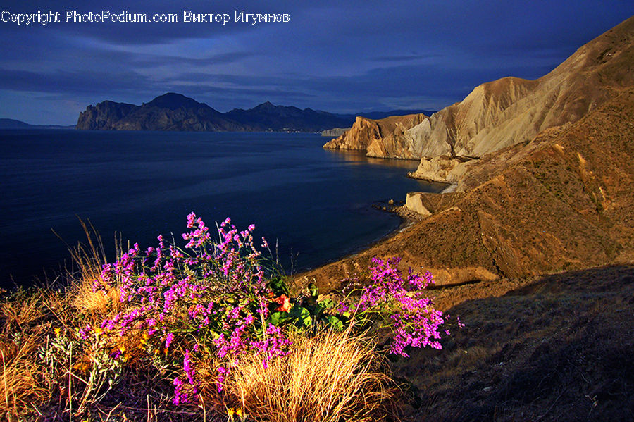Promontory, Mountain, Mountain Range, Outdoors, Coast, Sea, Water