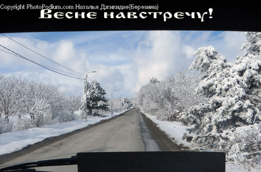 Ice, Outdoors, Snow, Dirt Road, Gravel, Road, Conifer