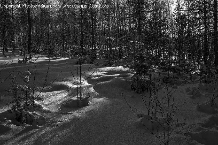Intersection, Road, Outdoors, Sand, Soil, Asphalt, Tarmac