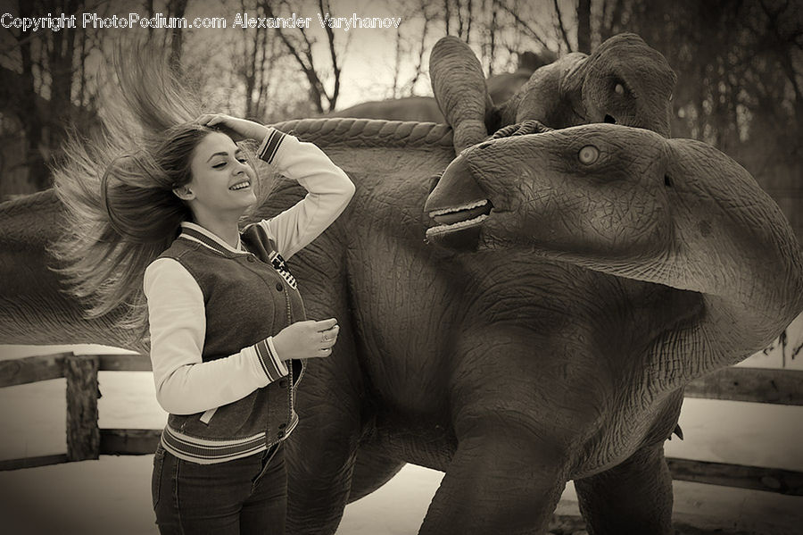 Animal, Elephant, Mammal, People, Person, Human, Female