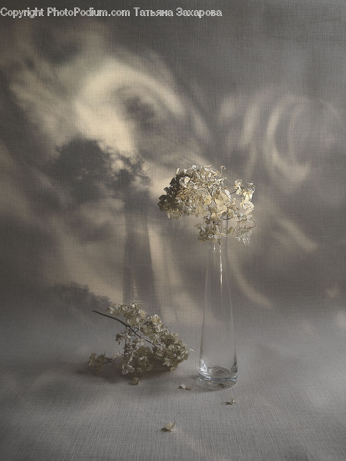 Plant, Weed, Dill, Flower, Flower Arrangement, Flower Bouquet, Accessories