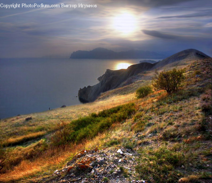 Field, Grass, Grassland, Land, Outdoors, Coast, Sea