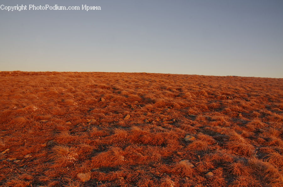 Soil, Field, Grass, Grassland, Land, Outdoors, Desert