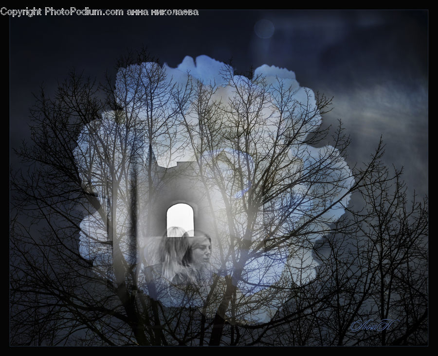 Architecture, Bell Tower, Clock Tower, Tower, Plant, Tree