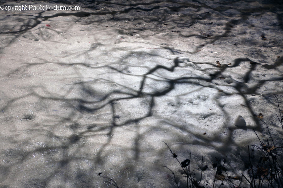 Ground, Soil, Asphalt, Tarmac