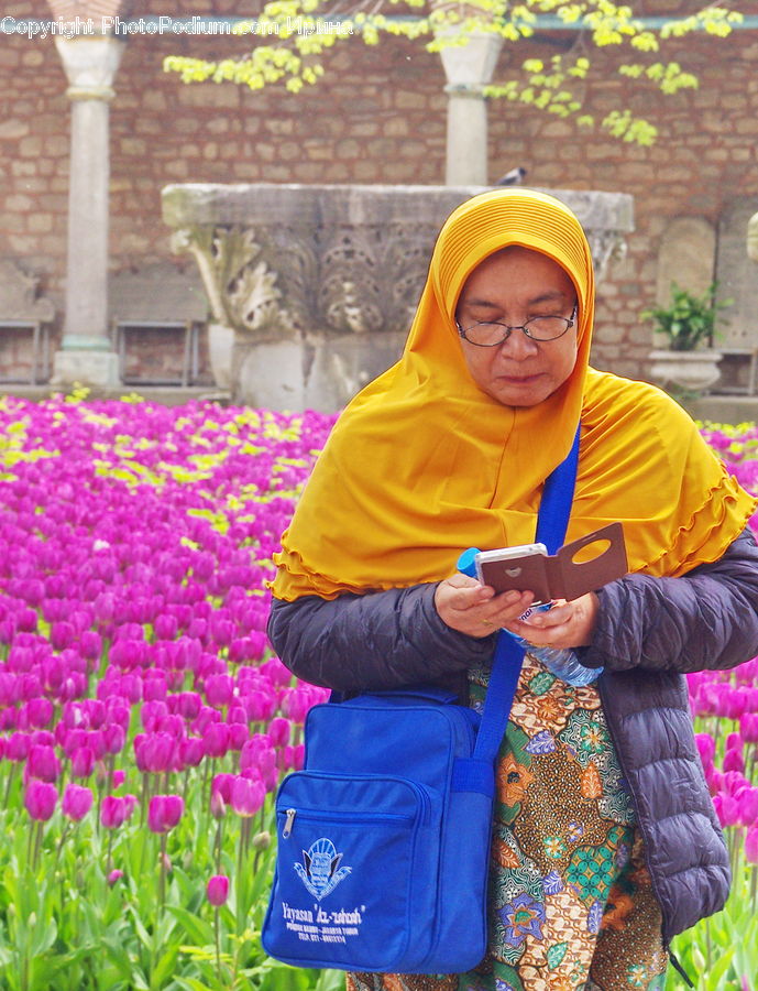Human, People, Person, Plant, Potted Plant, Garden, Gardener