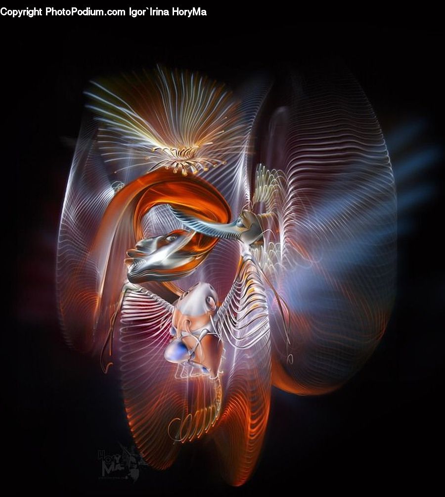 Fractal