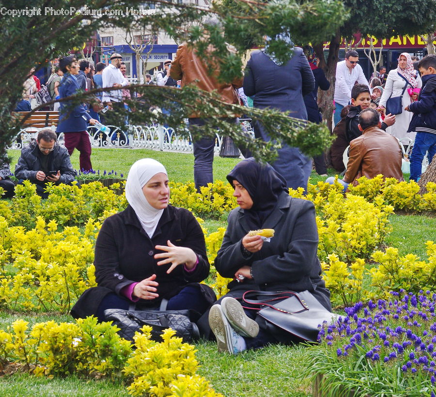 Human, People, Person, Plant, Potted Plant, Blossom, Flora