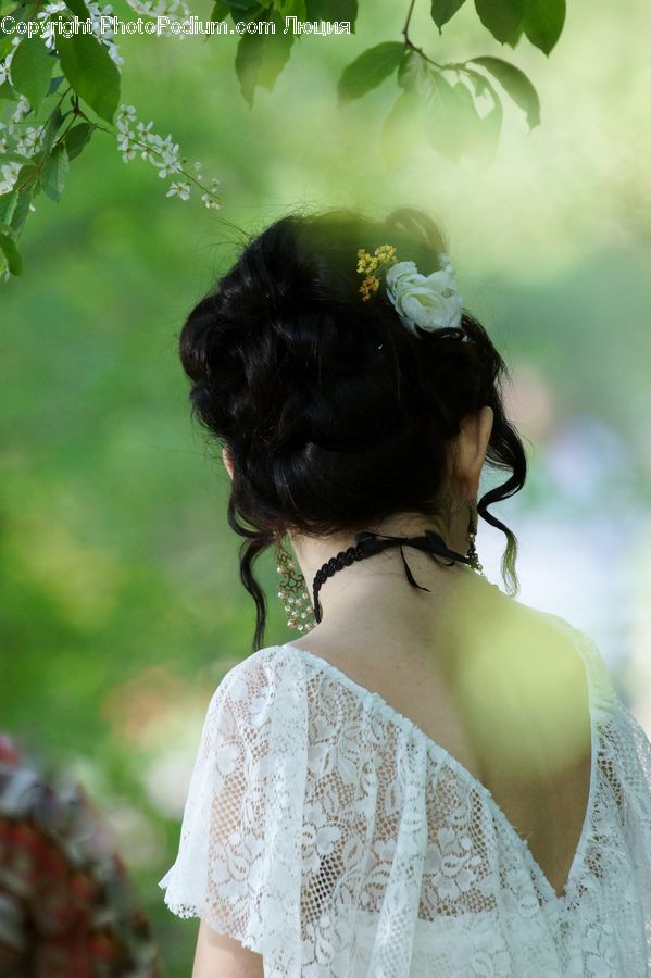Veil, Lace, Blossom, Flower, Lilac, Plant, Bonnet