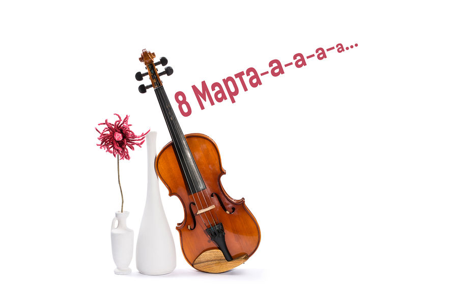 Blossom, Carnation, Flower, Plant, Cello, Fiddle, Musical Instrument