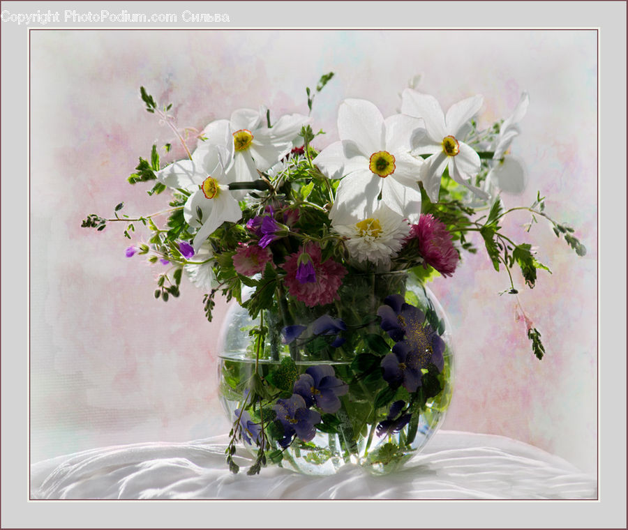 Herbs, Mint, Plant, Potted Plant, Blossom, Flower, Lilac