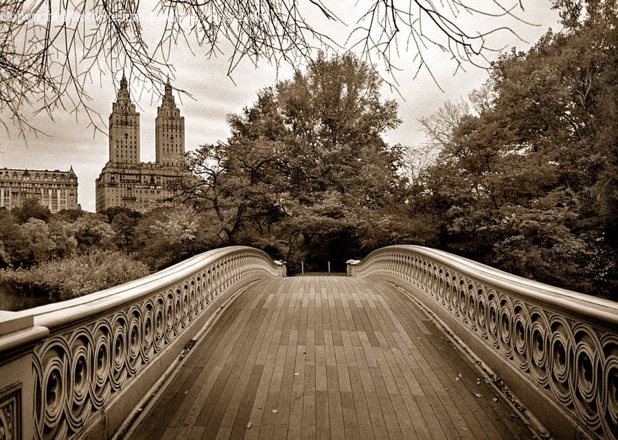 Boardwalk, Deck, Path, Sidewalk, Walkway, Road, Freeway