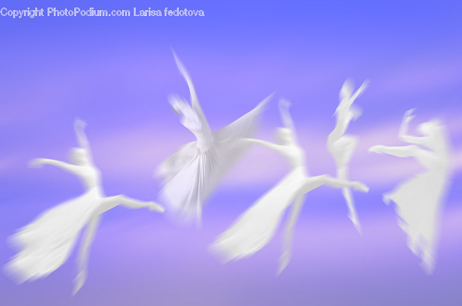Flora, Flower, Gladiolus, Plant, Field, Grass, Grassland