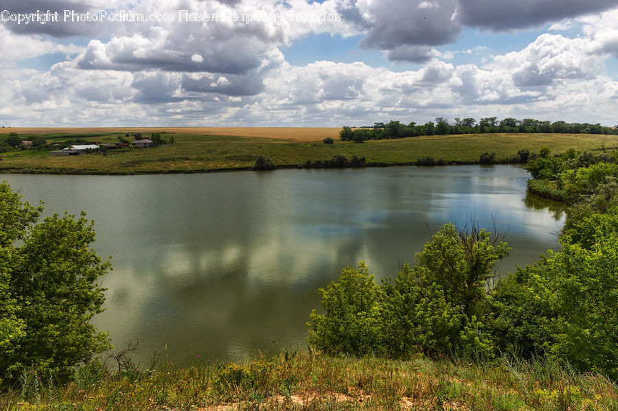 Cloud, Cumulus, Sky, Field, Grass, Grassland, Land