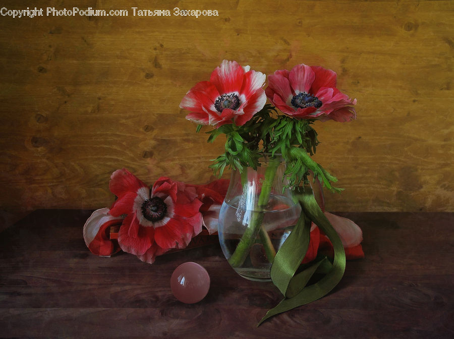 Blossom, Flora, Flower, Plant, Poppy, Floral Design, Flower Arrangement