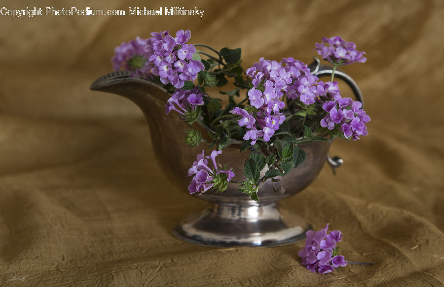 Plant, Potted Plant, Floral Design, Flower, Flower Arrangement, Flower Bouquet, Ikebana