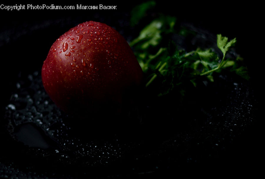 Cherry, Fruit, Plum, Food, Moss, Plant