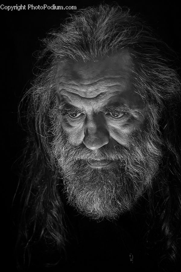 Animal, Ape, Mammal, Monkey, Person, Portrait