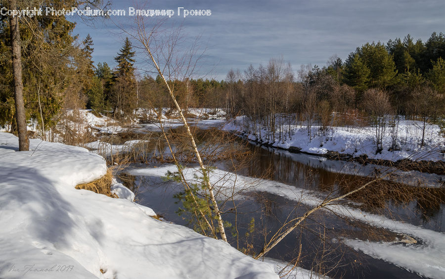 Land, Marsh, Outdoors, Swamp, Water, Ice, Snow