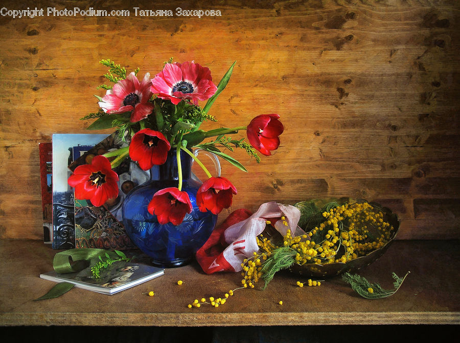 Blossom, Flora, Flower, Plant, Tulip, Potted Plant, Floral Design