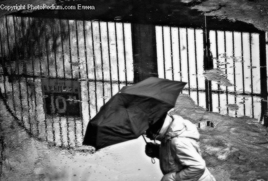 People, Person, Human, Umbrella, Brick, Fence, Wall