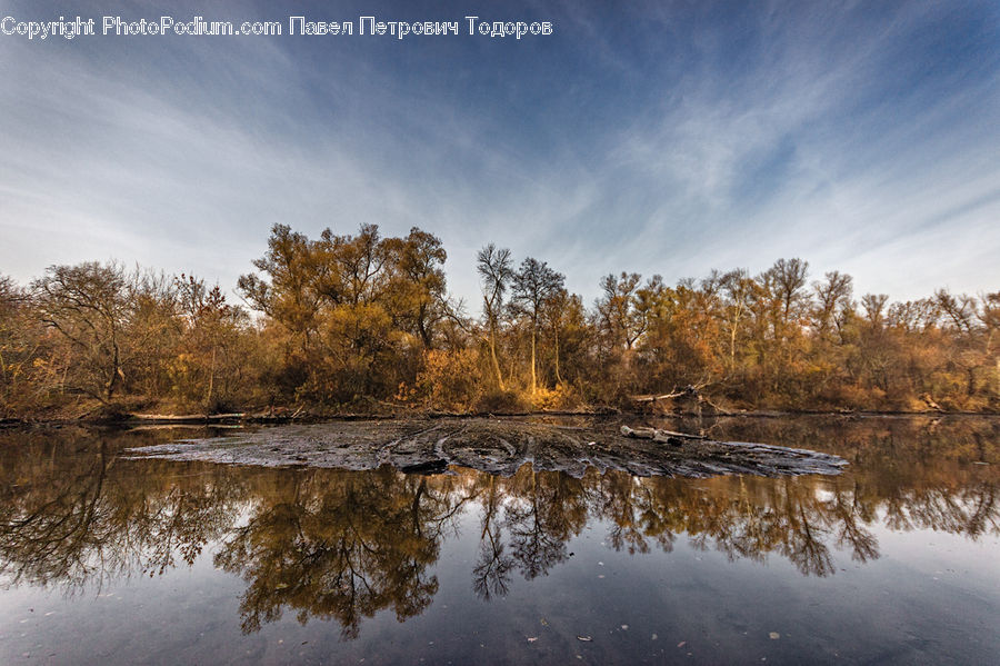 Flood, Land, Marsh, Pond, Swamp, Water, Field