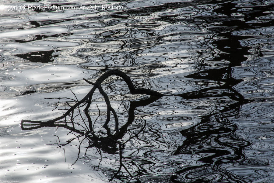 Water, Outdoors, Ripple, Ice, Snow, Plant, Tree