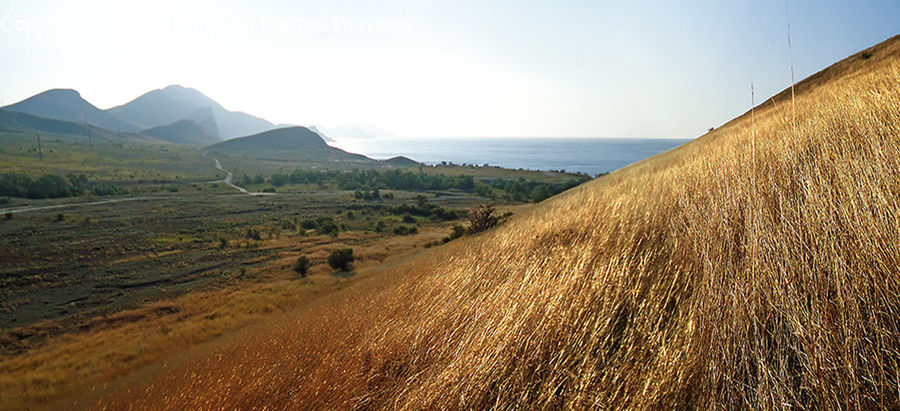 Field, Grass, Grassland, Land, Outdoors, Countryside, Hill