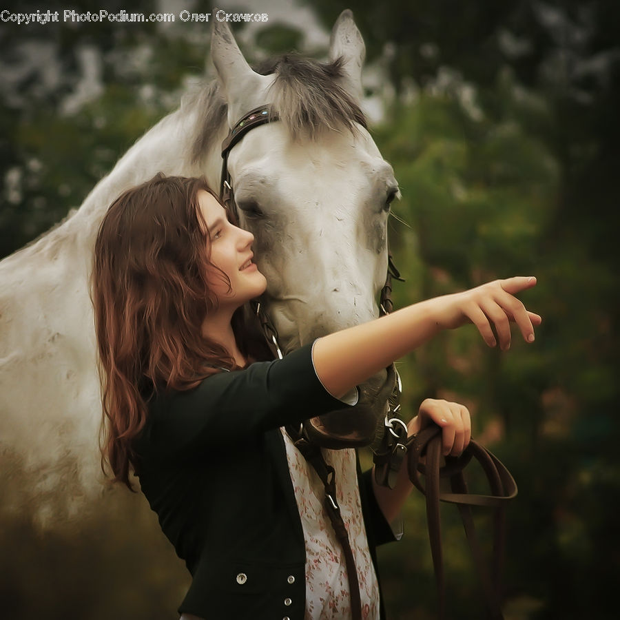 People, Person, Human, Animal, Horse, Mammal, Stallion