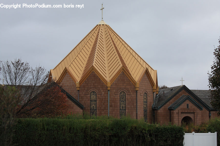 Plant, Potted Plant, Architecture, Church, Worship, Bush, Vegetation