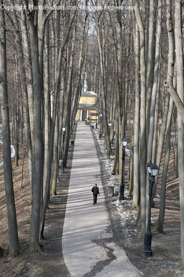 Architecture, Shrine, Temple, Worship, Boardwalk, Deck, Path