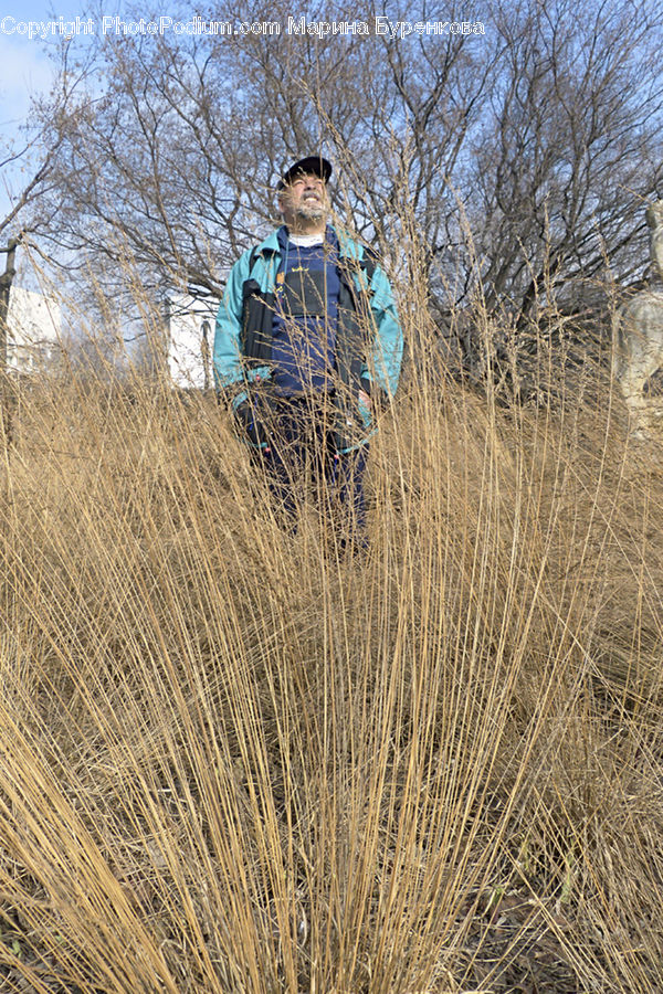 People, Person, Human, Field, Grass, Grassland, Plant