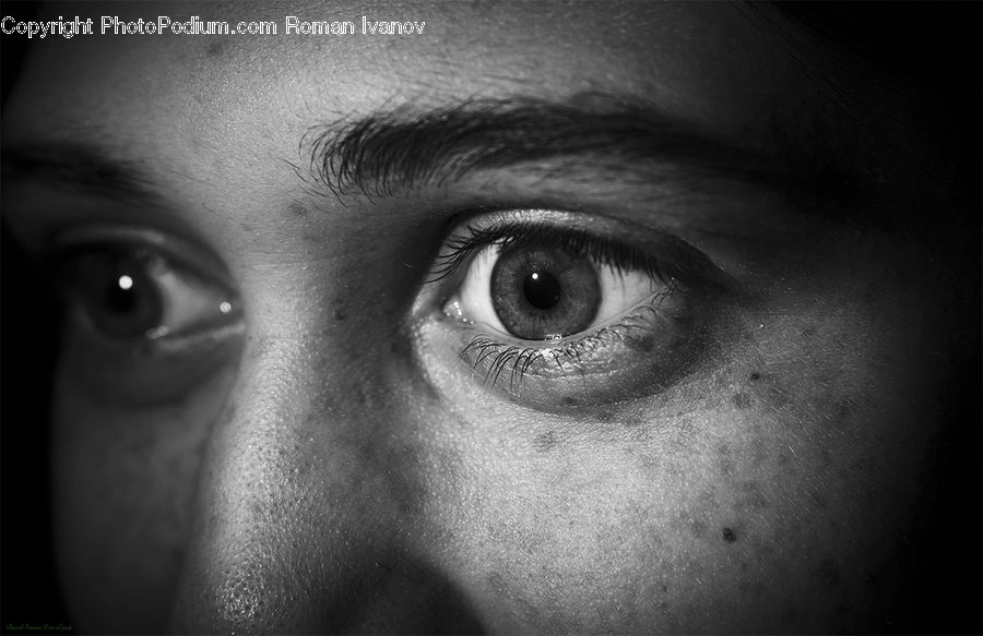 People, Person, Human, Portrait, Head, Face