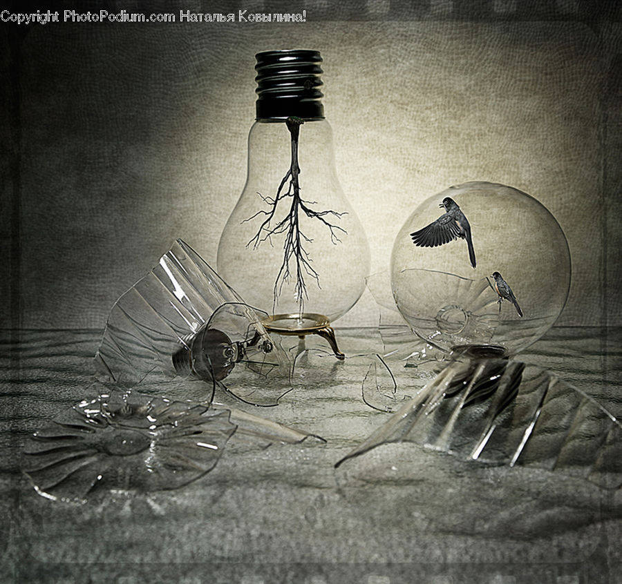 Bird, Quail, Magpie, Stork, Hourglass, Swallow, Art