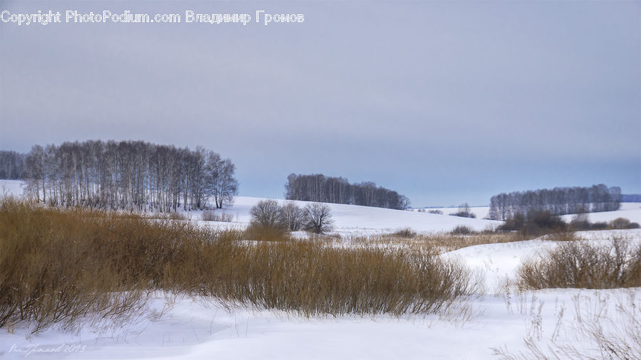 Field, Grass, Grassland, Plant, Land, Outdoors, Landscape