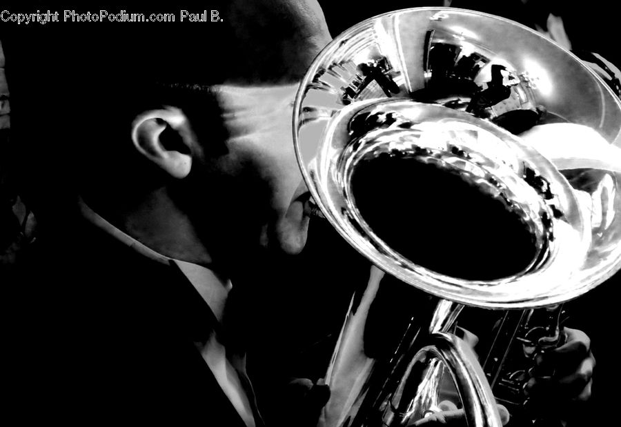 Brass Section, Euphonium, Musical Instrument, Tuba, Performer, Person, Portrait