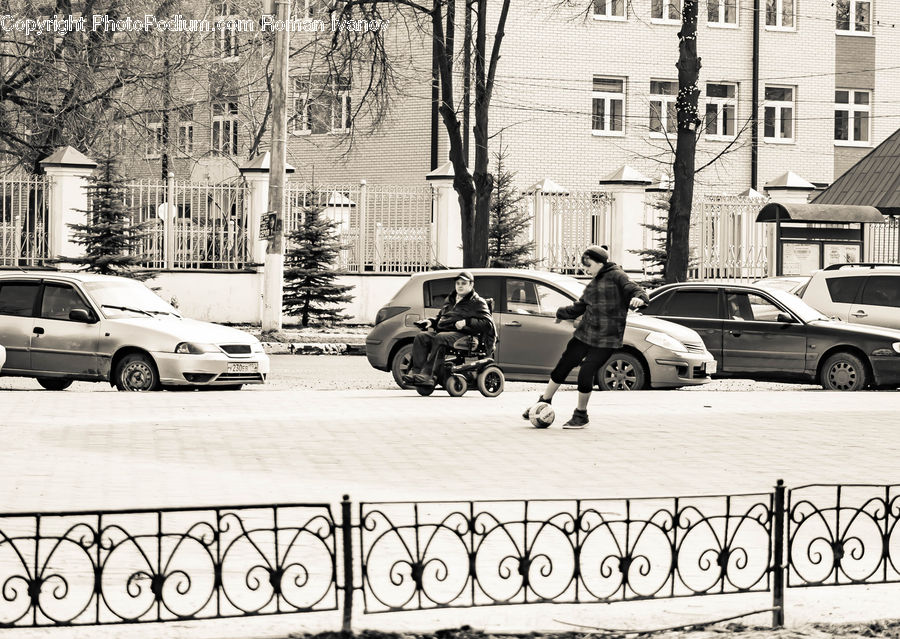 Automobile, Car, Vehicle, Sedan, Van, Suv, City