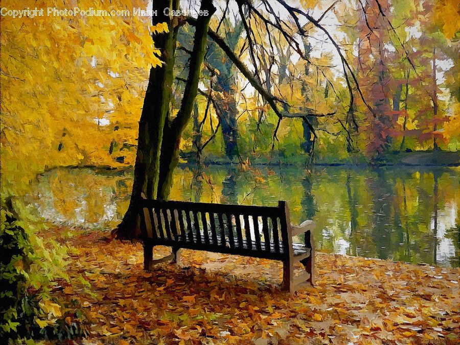 Bench, Ivy, Plant, Vine, Art, Painting, Ground