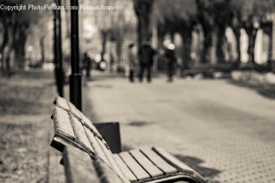 Bench, Park Bench, Head, Portrait, Asphalt, Tarmac, Alley