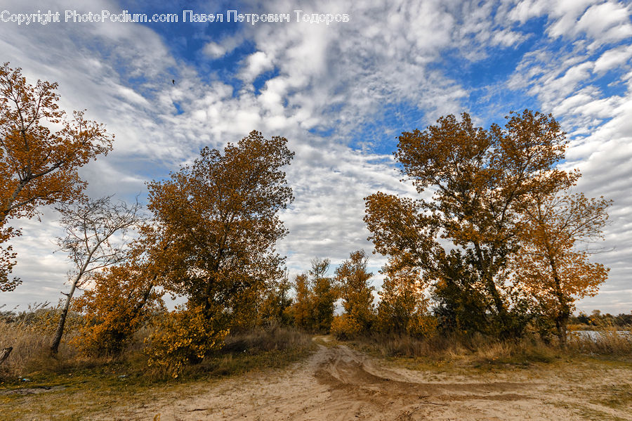 Dirt Road, Gravel, Road
