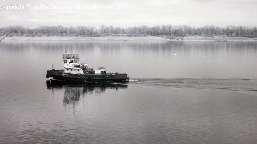 Barge, Boat, Tugboat, Cruise Ship, Ferry, Freighter, Ship