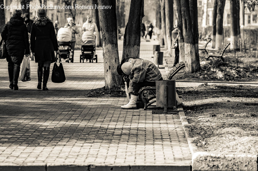 Human, People, Person, Campus, Park, City, Downtown