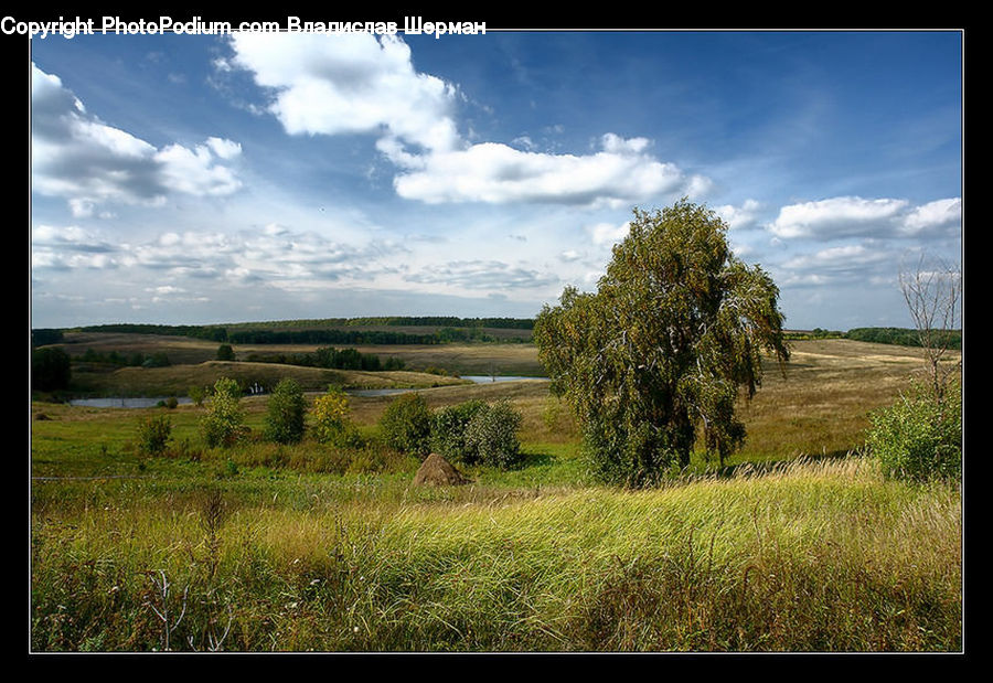 Field, Grass, Grassland, Land, Outdoors, Dirt Road, Gravel