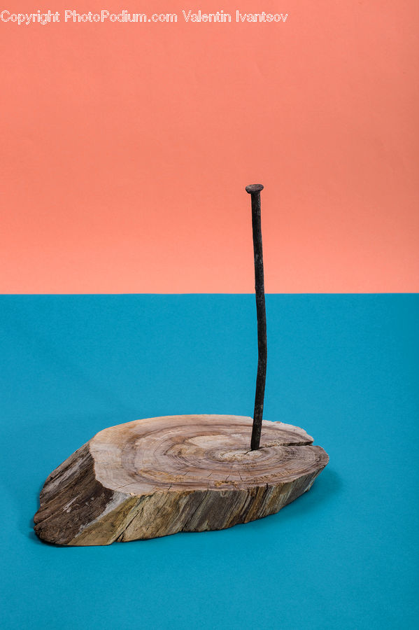 Table, Tabletop, Flower Arrangement, Ikebana, Plant, Potted Plant, Vase
