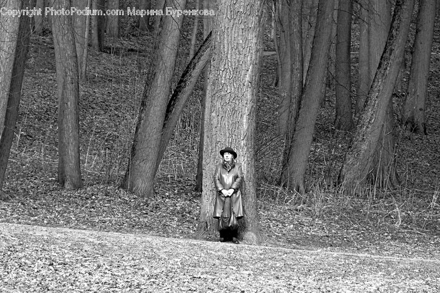 Forest, Vegetation, Costume, Hippie, Person, Grove, Land