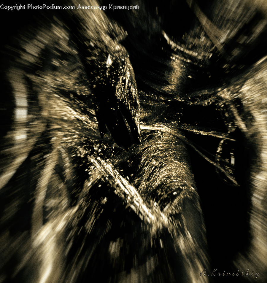 Fireworks, Night, Arachnid, Garden Spider, Insect, Invertebrate, Spider