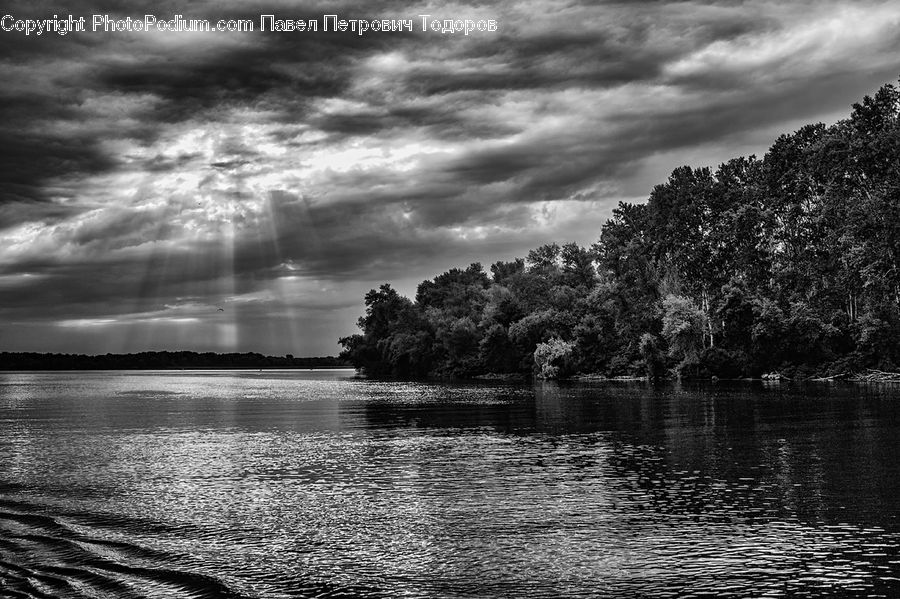 Flare, Light, Sunlight, Water, Cloud, Cumulus, Sky