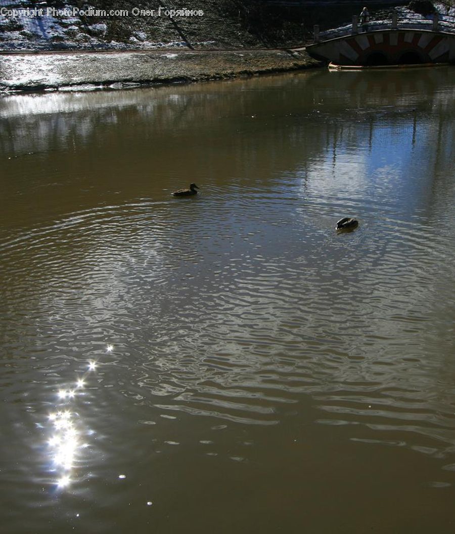 Outdoors, Ripple, Water