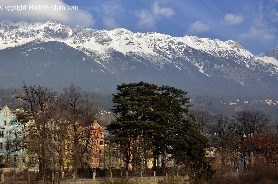 Conifer, Fir, Plant, Tree, Mountain, Mountain Range, Outdoors